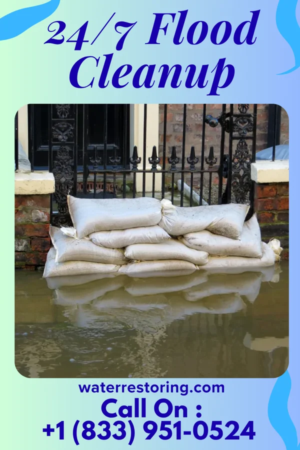 24/7 Flood Cleanup in Wentworth, NC
