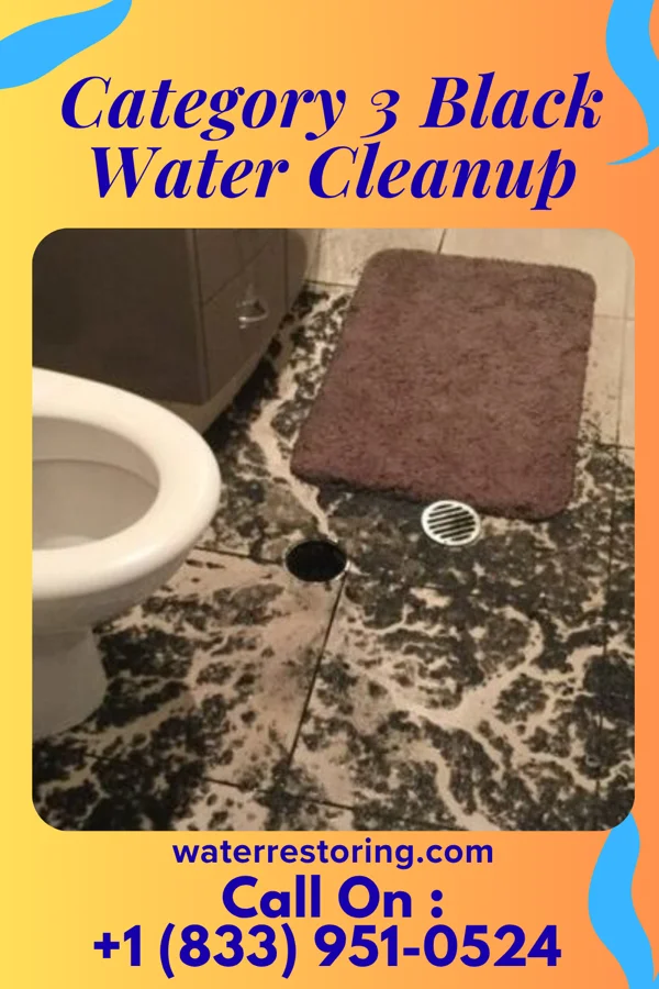 Category 3 Black Water Cleanup in Wentworth, NC