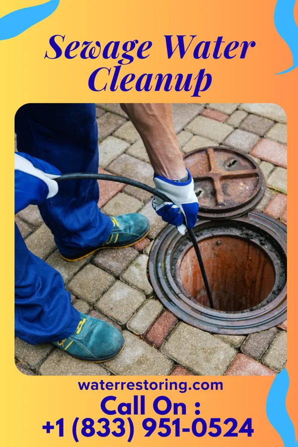 Sewage Water Cleanup in Wentworth, NC