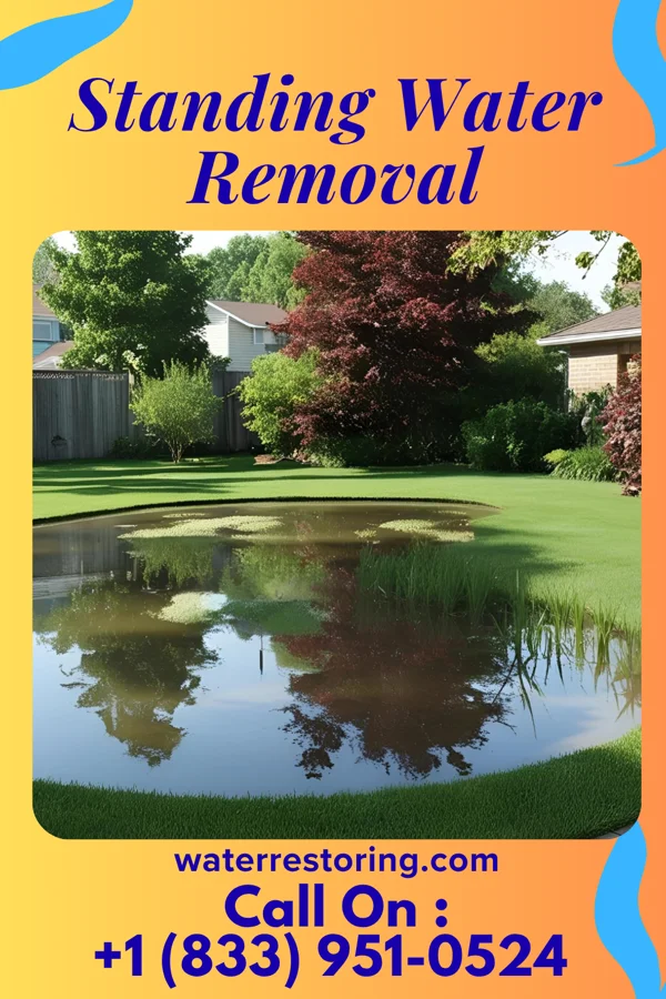 Standing Water Removal in Wentworth, NC